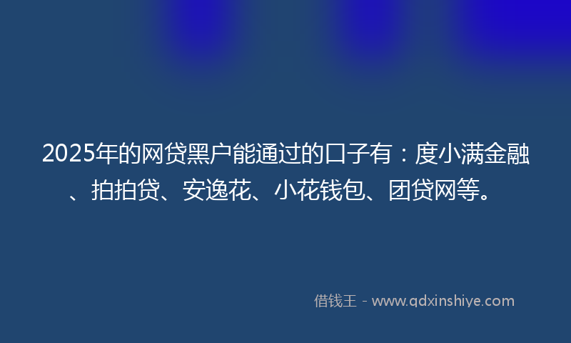 2025年的网贷黑户能通过的口子有：度小满金融、拍拍贷、安逸花、小花钱包、团贷网等。