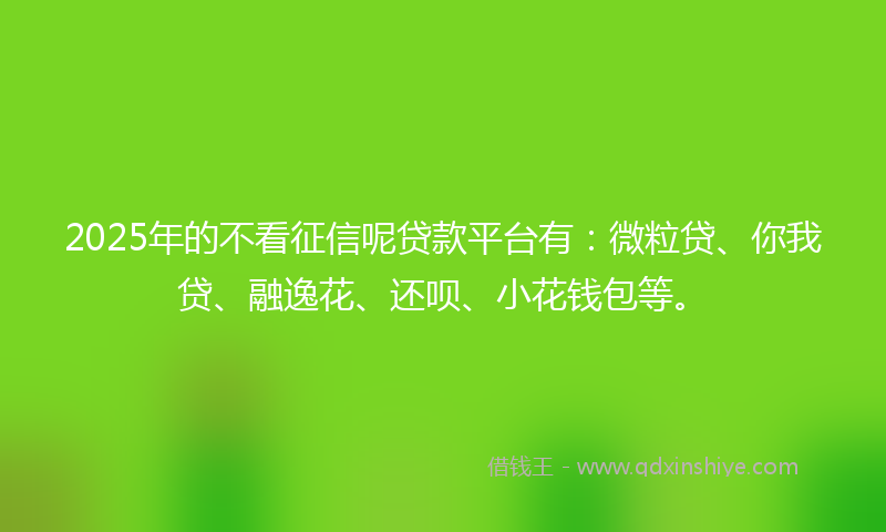 2025年的不看征信呢贷款平台有：微粒贷、你我贷、融逸花、还呗、小花钱包等。