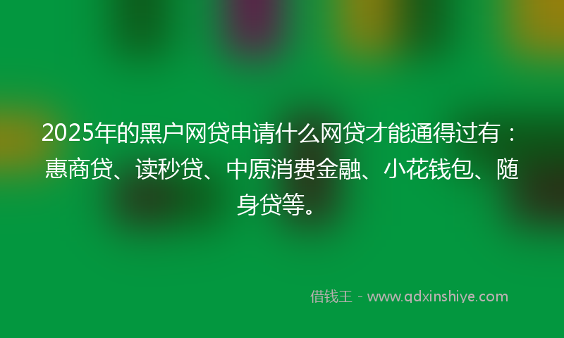 2025年的黑户网贷申请什么网贷才能通得过有：惠商贷、读秒贷、中原消费金融、小花钱包、随身贷等。
