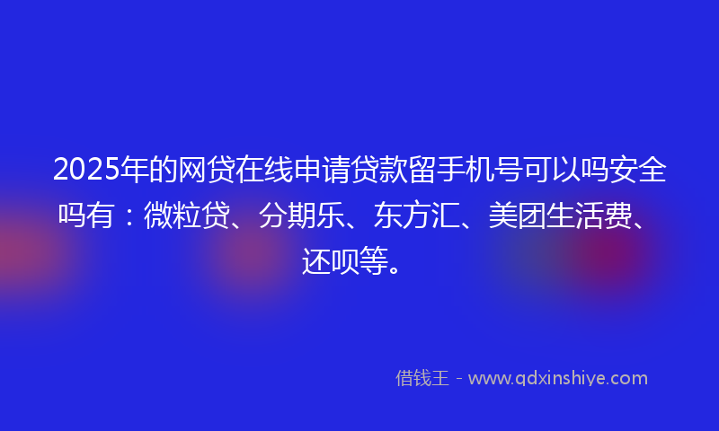2025年的网贷在线申请贷款留手机号可以吗安全吗有：微粒贷、分期乐、东方汇、美团生活费、还呗等。