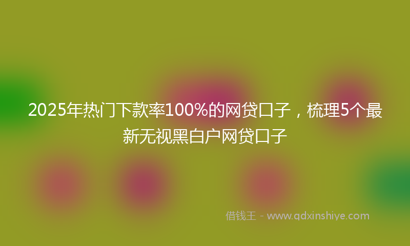 2025年热门下款率100%的网贷口子，梳理5个最新无视黑白户网贷口子