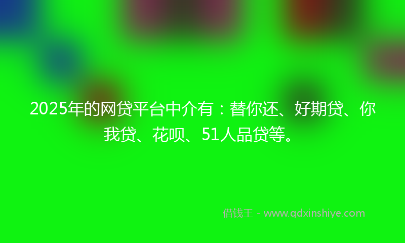 2025年的网贷平台中介有：替你还、好期贷、你我贷、花呗、51人品贷等。