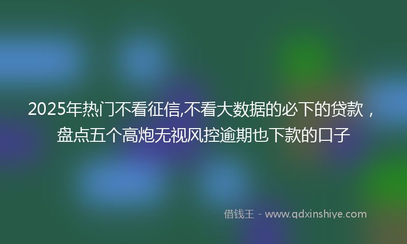2025年热门不看征信,不看大数据的必下的贷款，盘点五个高炮无视风控逾期也下款的口子