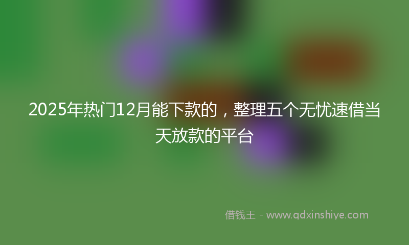 2025年热门12月能下款的，整理五个无忧速借当天放款的平台