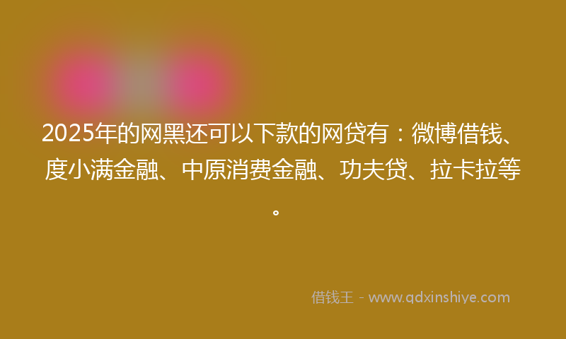 2025年的网黑还可以下款的网贷有：微博借钱、度小满金融、中原消费金融、功夫贷、拉卡拉等。