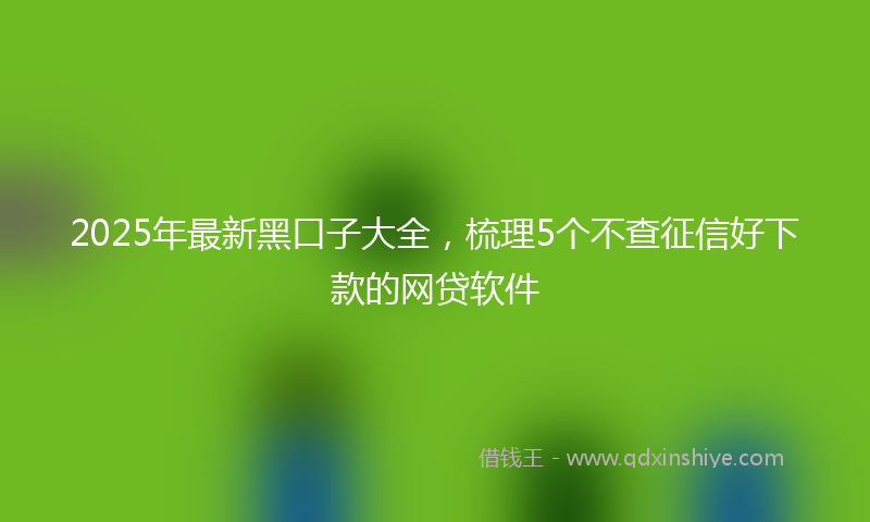 2025年最新黑口子大全，梳理5个不查征信好下款的网贷软件