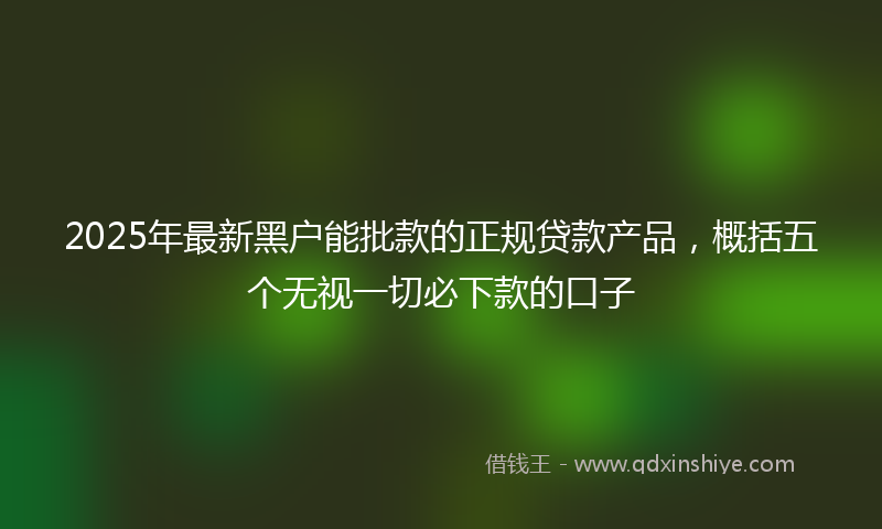 2025年最新黑户能批款的正规贷款产品，概括五个无视一切必下款的口子