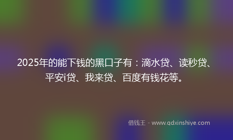 2025年的能下钱的黑口子有：滴水贷、读秒贷、平安i贷、我来贷、百度有钱花等。