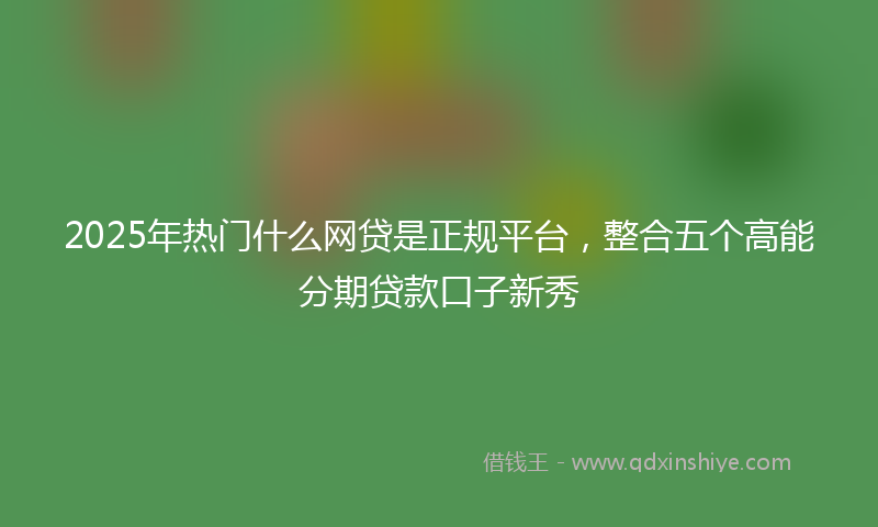 2025年热门什么网贷是正规平台，整合五个高能分期贷款口子新秀