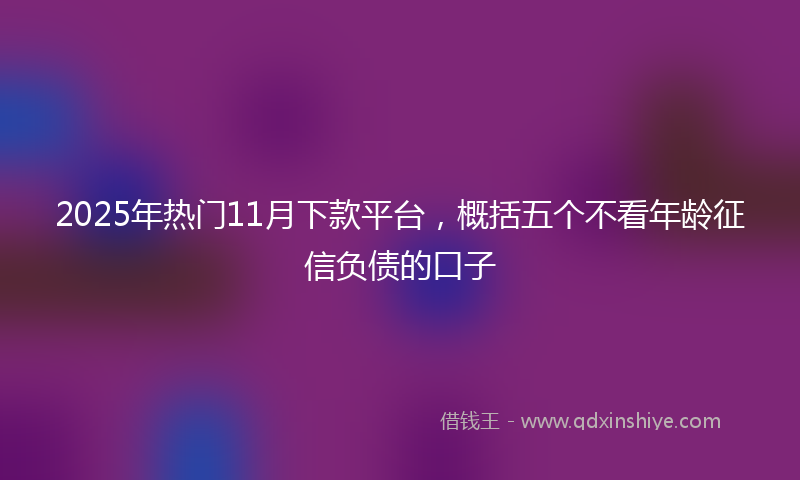 2025年热门11月下款平台，概括五个不看年龄征信负债的口子