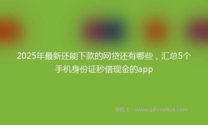 2025年最新还能下款的网贷还有哪些，汇总5个手机身份证秒借现金的app