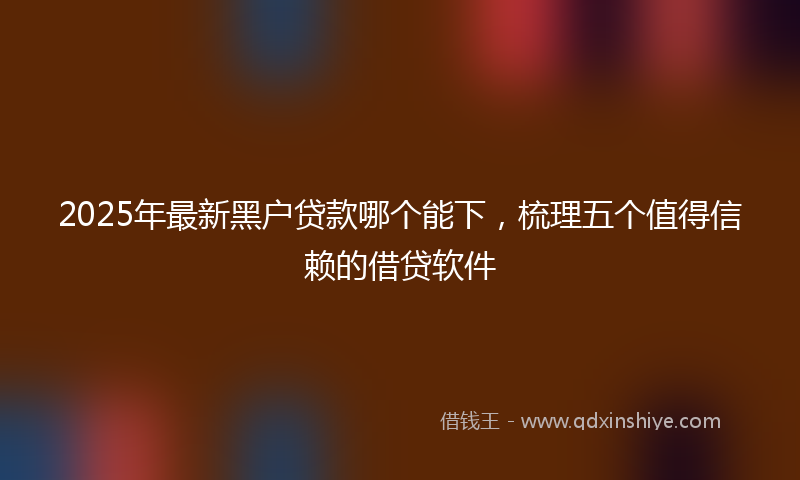 2025年最新黑户贷款哪个能下，梳理五个值得信赖的借贷软件