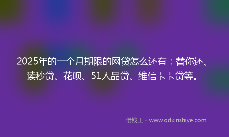 2025年的一个月期限的网贷怎么还有：替你还、读秒贷、花呗、51人品贷、维信卡卡贷等。