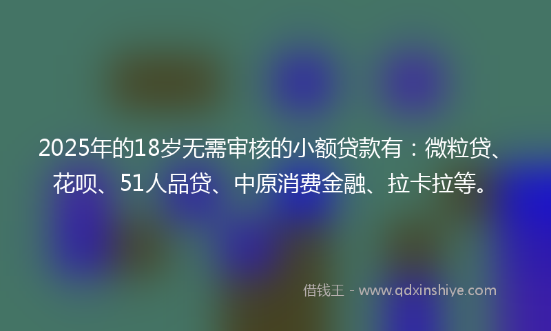 2025年的18岁无需审核的小额贷款有：微粒贷、花呗、51人品贷、中原消费金融、拉卡拉等。