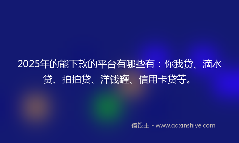 2025年的能下款的平台有哪些有：你我贷、滴水贷、拍拍贷、洋钱罐、信用卡贷等。
