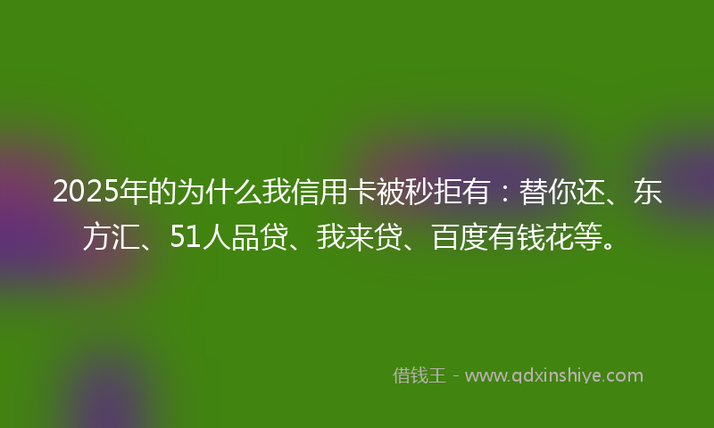 2025年的为什么我信用卡被秒拒有：替你还、东方汇、51人品贷、我来贷、百度有钱花等。