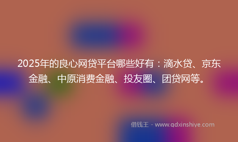 2025年的良心网贷平台哪些好有：滴水贷、京东金融、中原消费金融、投友圈、团贷网等。
