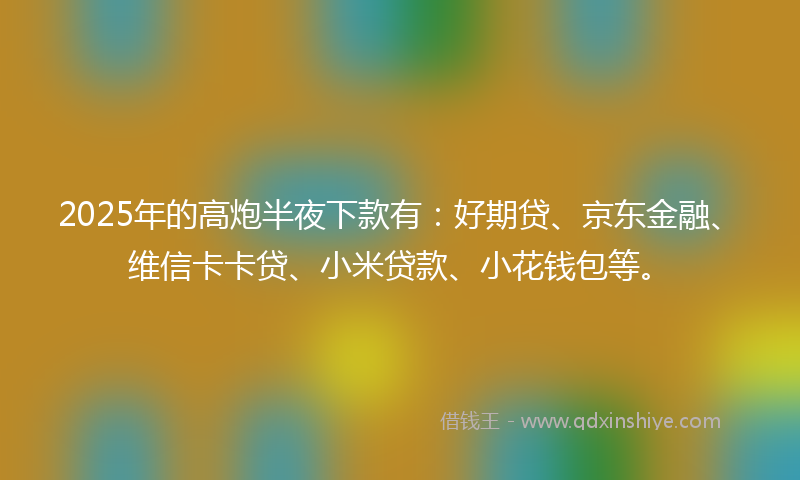 2025年的高炮半夜下款有:好期贷、京东金融、维信卡卡贷、小米贷款、小花钱包等。