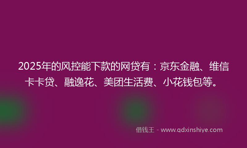 2025年的风控能下款的网贷有：京东金融、维信卡卡贷、融逸花、美团生活费、小花钱包等。