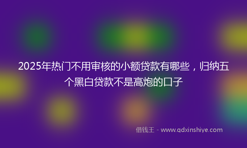 2025年热门不用审核的小额贷款有哪些，归纳五个黑白贷款不是高炮的口子