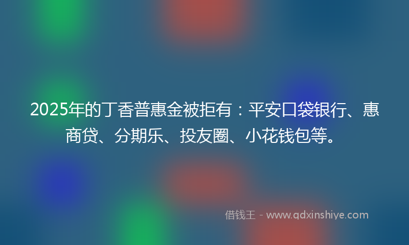 2025年的丁香普惠金被拒有：平安口袋银行、惠商贷、分期乐、投友圈、小花钱包等。