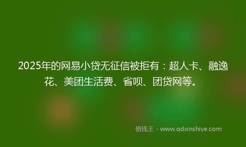2025年的网易小贷无征信被拒有：超人卡、融逸花、美团生活费、省呗、团贷网等。