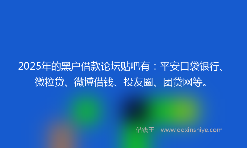 2025年的黑户借款论坛贴吧有：平安口袋银行、微粒贷、微博借钱、投友圈、团贷网等。