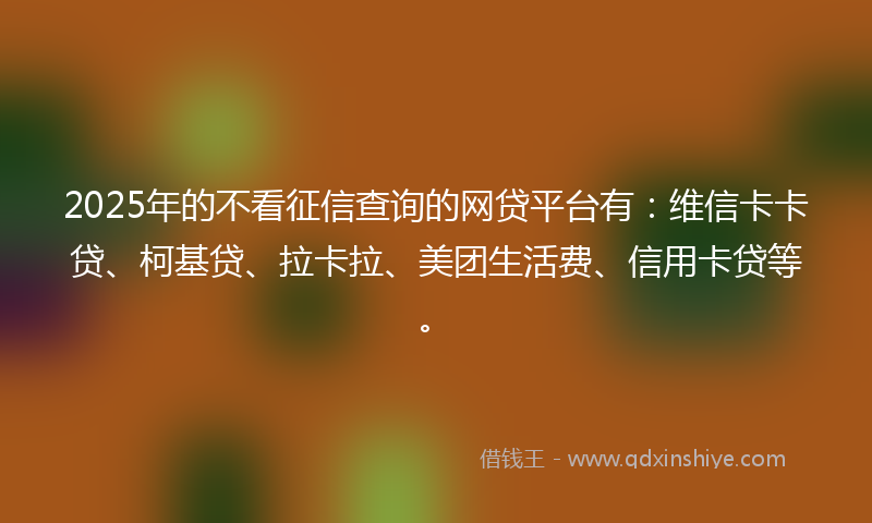 2025年的不看征信查询的网贷平台有：维信卡卡贷、柯基贷、拉卡拉、美团生活费、信用卡贷等。