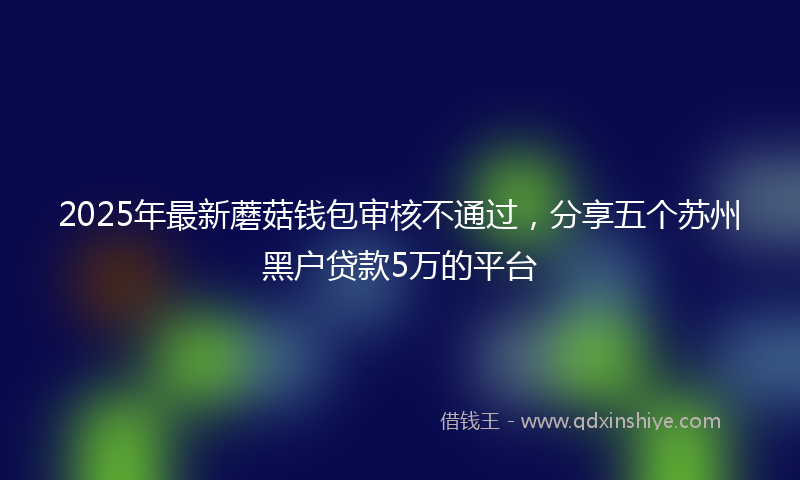 2025年最新蘑菇钱包审核不通过，分享五个苏州黑户贷款5万的平台