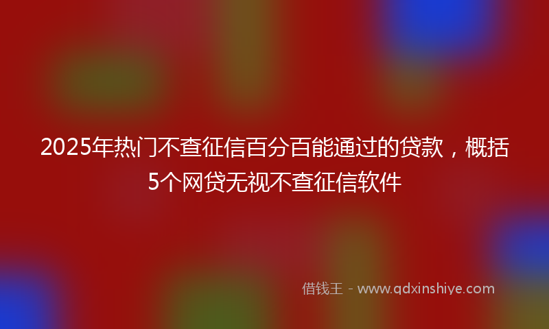 2025年热门不查征信百分百能通过的贷款，概括5个网贷无视不查征信软件