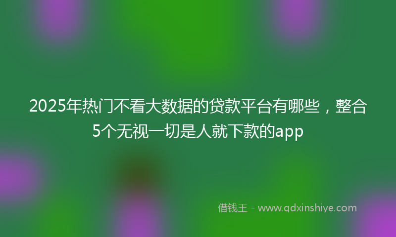 2025年热门不看大数据的贷款平台有哪些，整合5个无视一切是人就下款的app