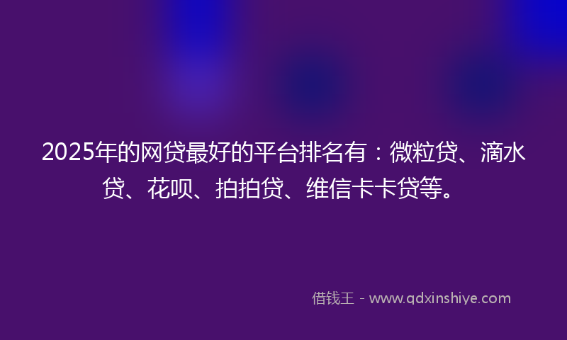 2025年的网贷最好的平台排名有：微粒贷、滴水贷、花呗、拍拍贷、维信卡卡贷等。