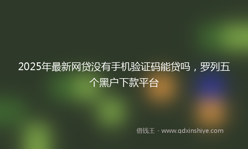 2025年最新网贷没有手机验证码能贷吗，罗列五个黑户下款平台