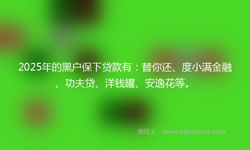 2025年的黑户保下贷款有：替你还、度小满金融、功夫贷、洋钱罐、安逸花等。