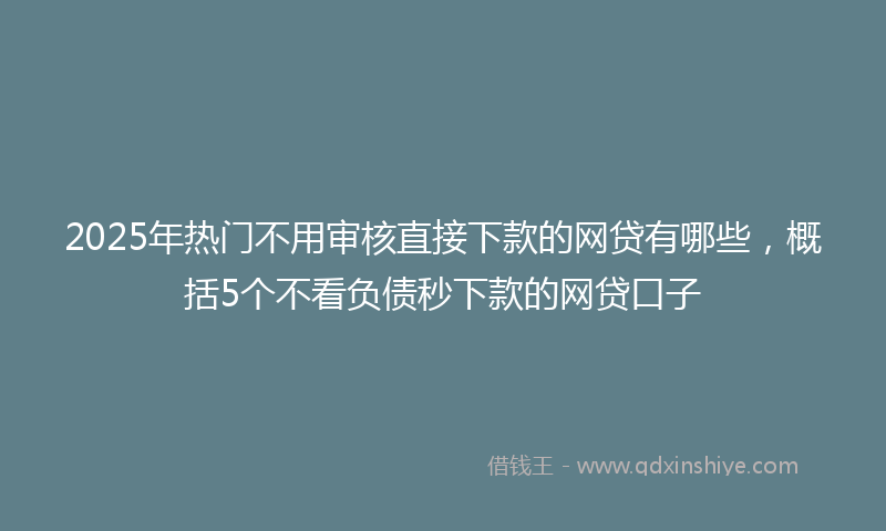 2025年热门不用审核直接下款的网贷有哪些，概括5个不看负债秒下款的网贷口子