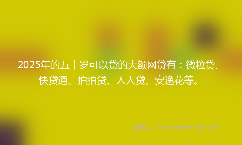 2025年的五十岁可以贷的大额网贷有：微粒贷、快贷通、拍拍贷、人人贷、安逸花等。