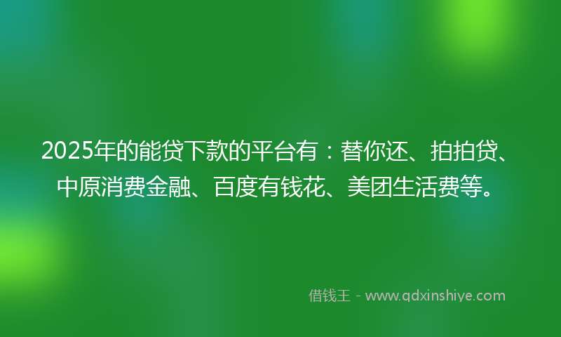 2025年的能贷下款的平台有：替你还、拍拍贷、中原消费金融、百度有钱花、美团生活费等。