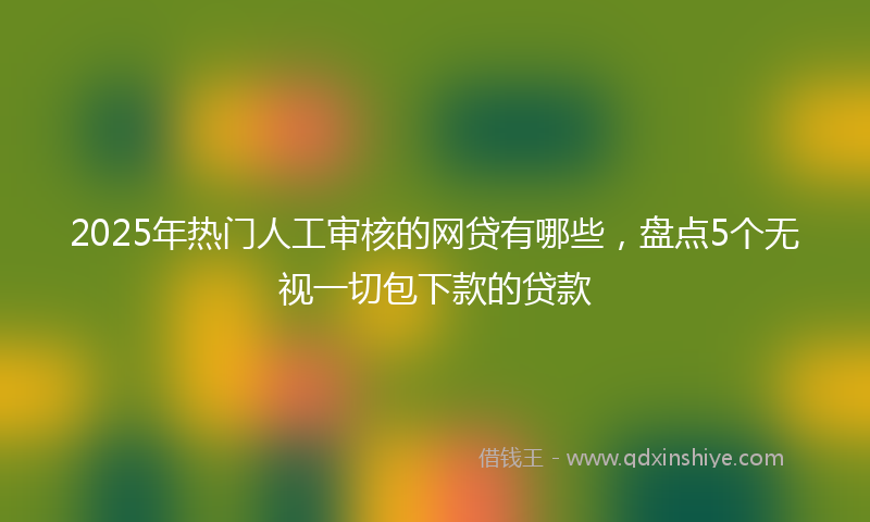 2025年热门人工审核的网贷有哪些，盘点5个无视一切包下款的贷款
