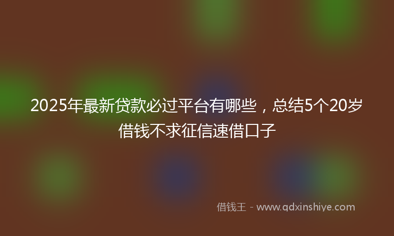 2025年最新贷款必过平台有哪些，总结5个20岁借钱不求征信速借口子