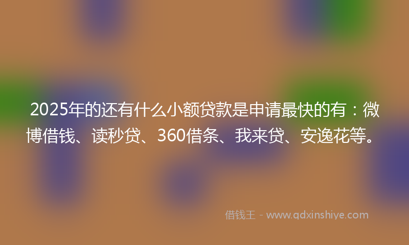 2025年的还有什么小额贷款是申请最快的有：微博借钱、读秒贷、360借条、我来贷、安逸花等。