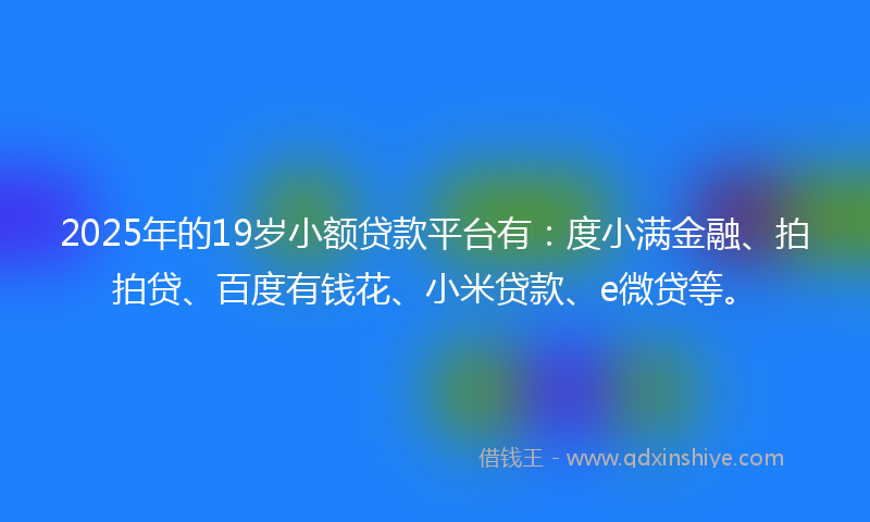 2025年的19岁小额贷款平台有：度小满金融、拍拍贷、百度有钱花、小米贷款、e微贷等。