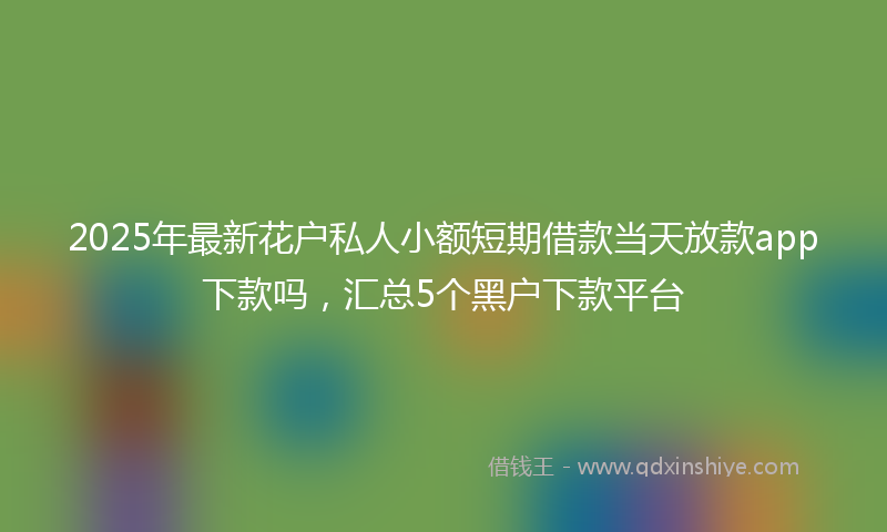 2025年最新花户私人小额短期借款当天放款app下款吗，汇总5个黑户下款平台