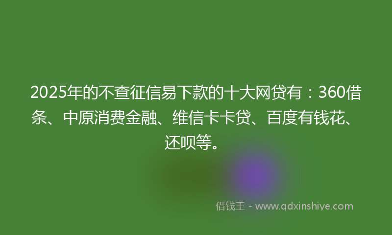 2025年的不查征信易下款的十大网贷有：360借条、中原消费金融、维信卡卡贷、百度有钱花、还呗等。