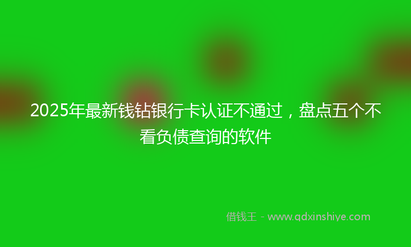 2025年最新钱钻银行卡认证不通过，盘点五个不看负债查询的软件