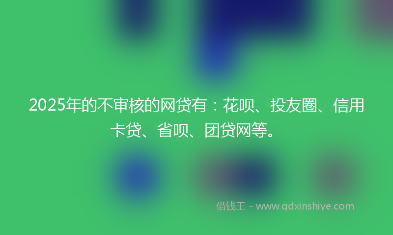 2025年的不审核的网贷有：花呗、投友圈、信用卡贷、省呗、团贷网等。