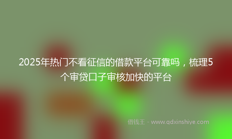 2025年热门不看征信的借款平台可靠吗，梳理5个审贷口子审核加快的平台
