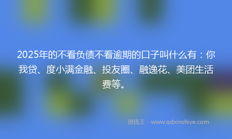 2025年的不看负债不看逾期的口子叫什么有：你我贷、度小满金融、投友圈、融逸花、美团生活费等。