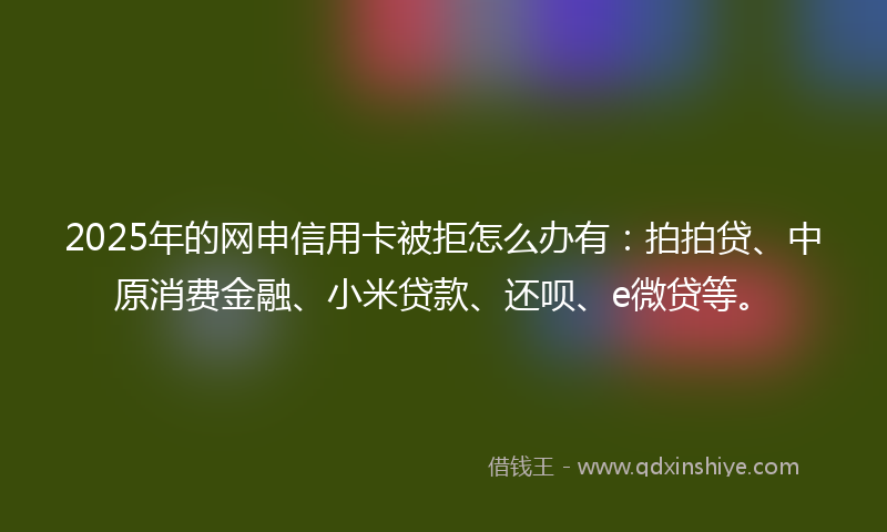 2025年的网申信用卡被拒怎么办有：拍拍贷、中原消费金融、小米贷款、还呗、e微贷等。