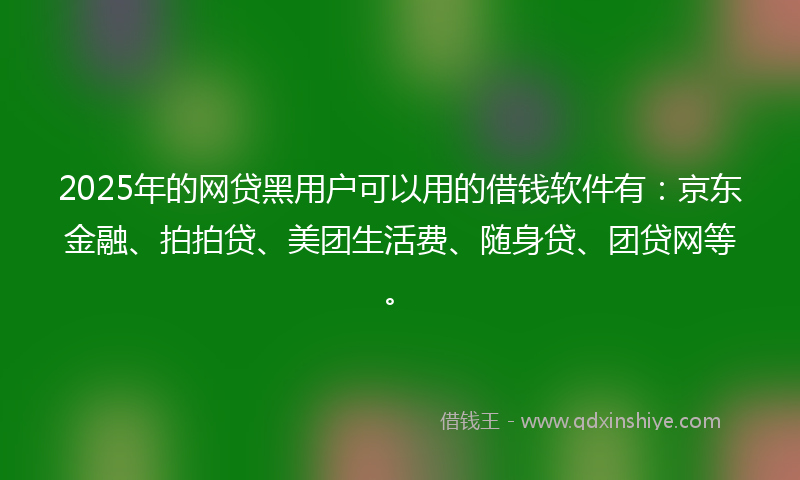 2025年的网贷黑用户可以用的借钱软件有：京东金融、拍拍贷、美团生活费、随身贷、团贷网等。