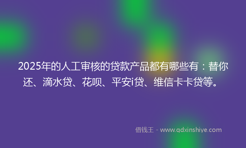 2025年的人工审核的贷款产品都有哪些有：替你还、滴水贷、花呗、平安i贷、维信卡卡贷等。